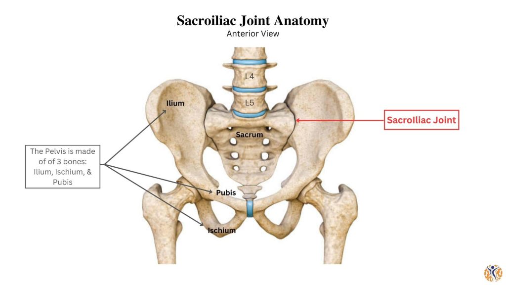 diagram of sacroiliac joint anatomy